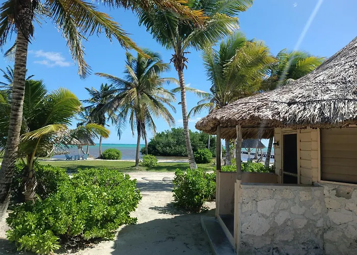 Costa De Cocos