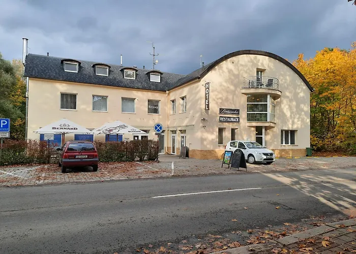 Hotel Borsicanka