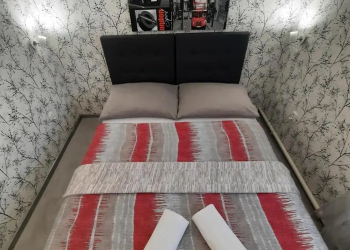 Hotel Borsicanka