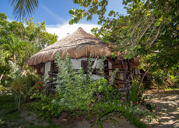 Blue Holbox