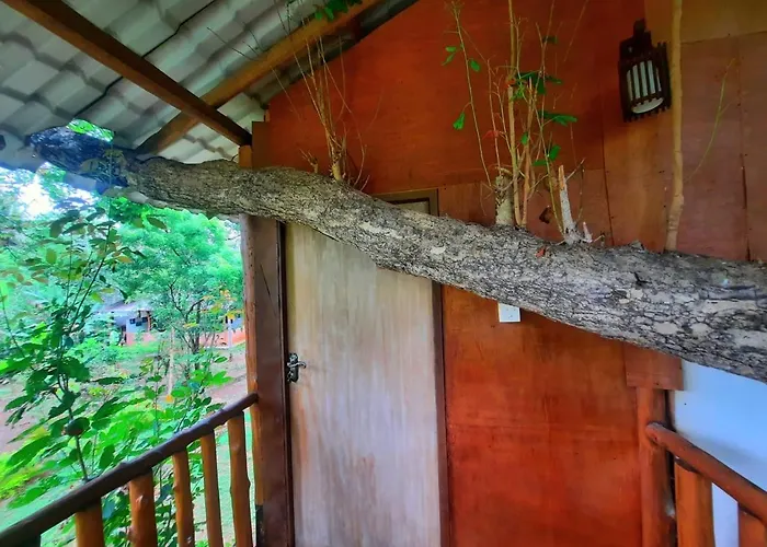 Tree House 4 Nature Lovers