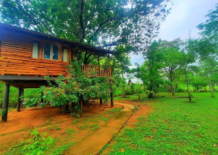 Tree House 4 Nature Lovers