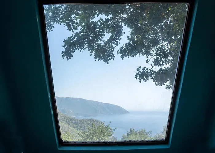 Goat Bungalow&Camping