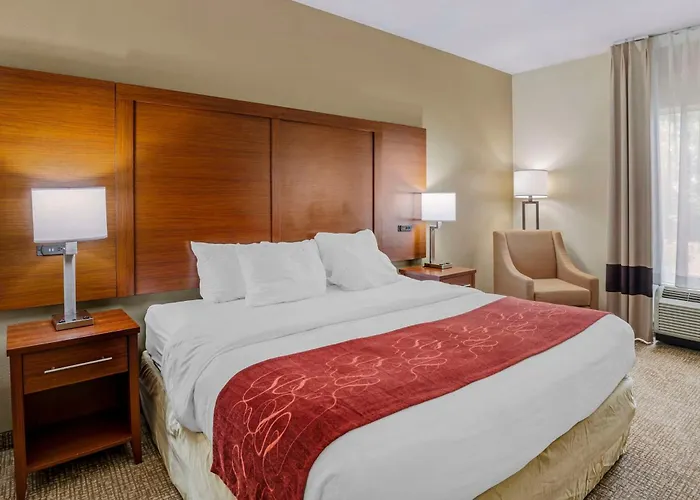 Comfort Suites At Virginia Center Commons