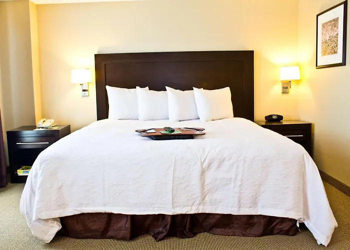 Hampton Inn & Suites Boston Crosstown Center