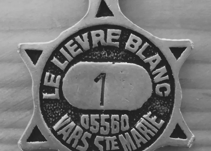 Hotel Le Lievre Blanc