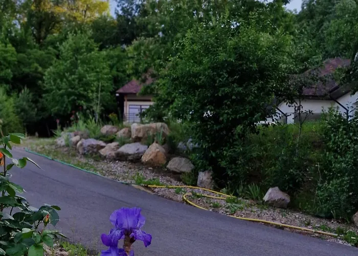 Provence Suceava