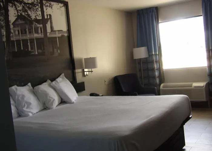 Super 8 By Wyndham Ocean Springs Biloxi