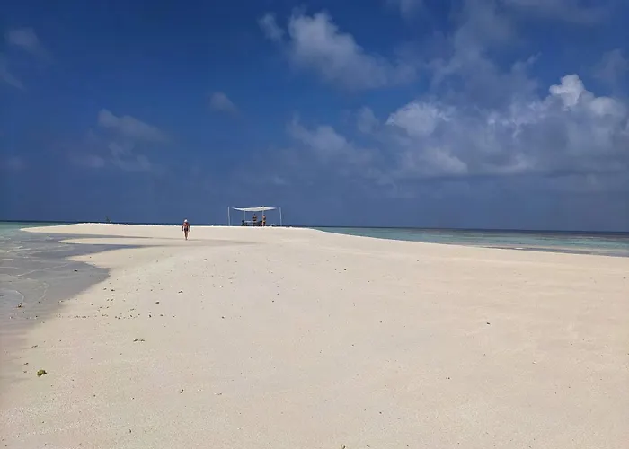 Sunny Breeze View