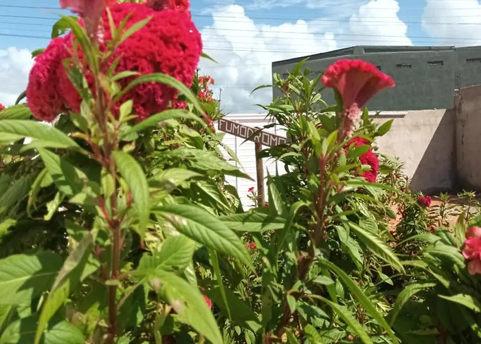 Pousada Bsm