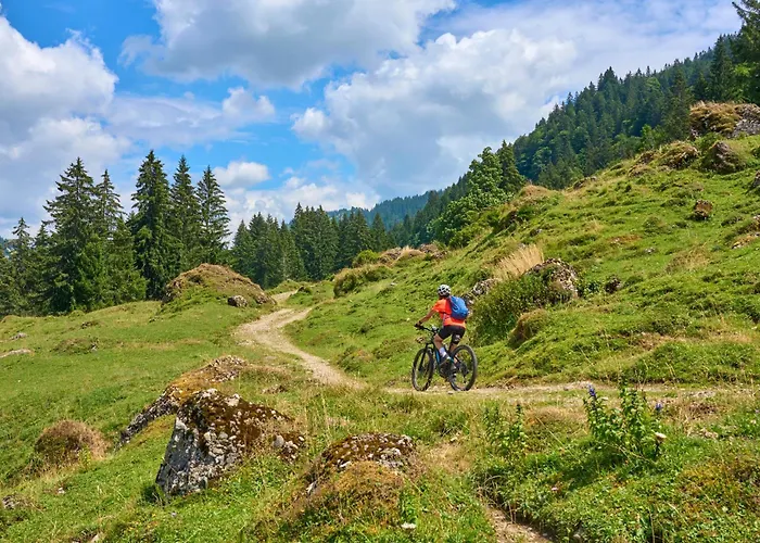 Hotel Alpennest - Mountain Hideaway in Leutasch