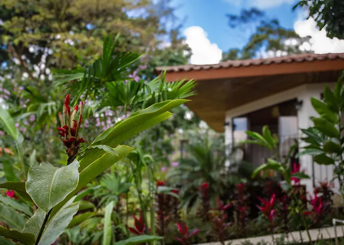 Miradas Arenal Hotel & Hotsprings