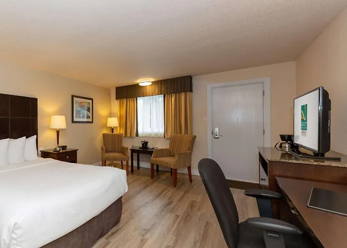 Quality Inn & Suites