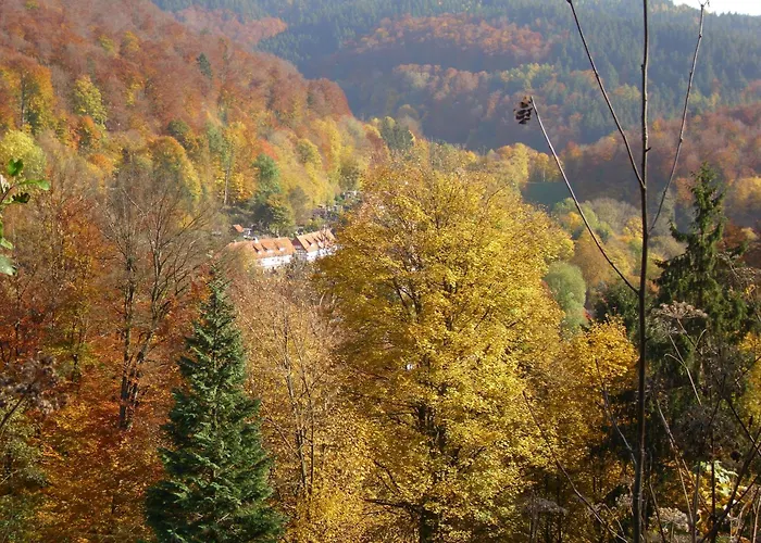 Naturkost-Hotel Harz