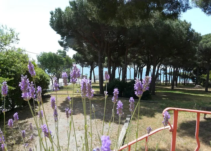 La Casa Mia