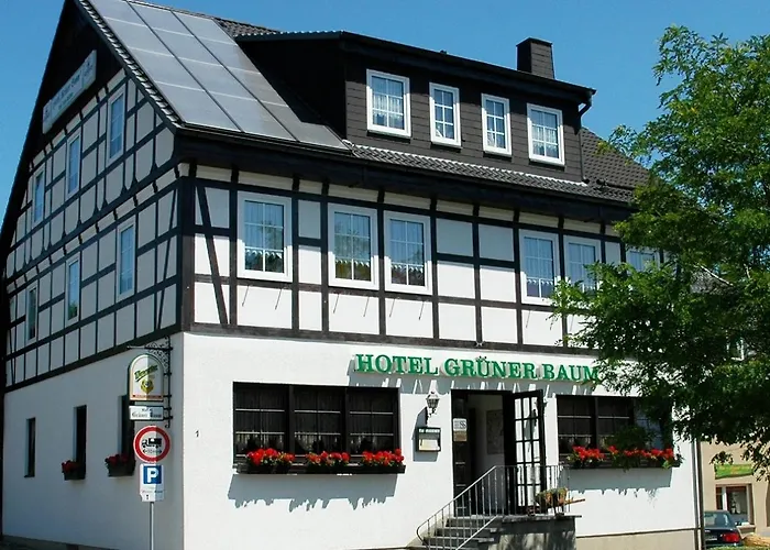 Hotel Grüner Baum