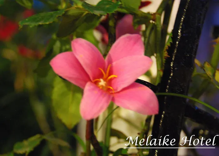Melaike Hotel