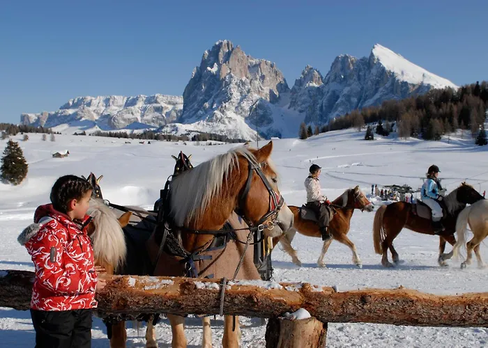 Tirler Dolomites Living Hotel