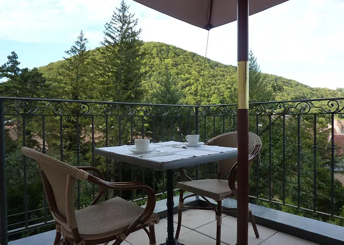 Hotel Restaurant Spa Le Sauvage