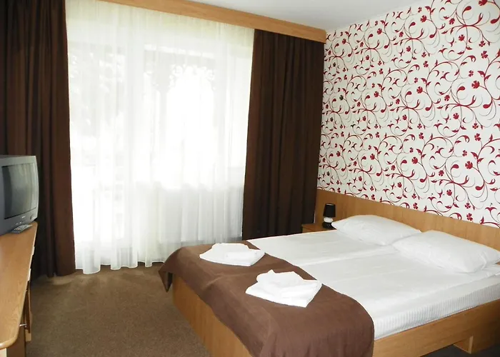 Hotel Muresul Health Spa