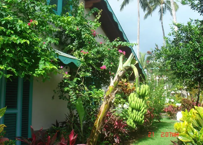 Hotel Playa Colibri
