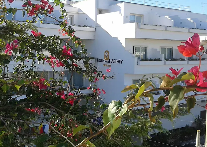 Hotel Degli Haethey