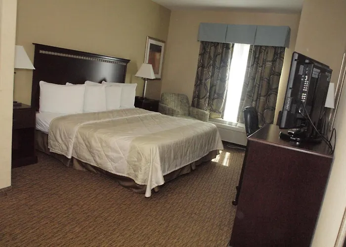 Magnolia Inn And Suites Pooler