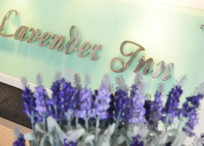 Lavender Inn Nusa Bestari