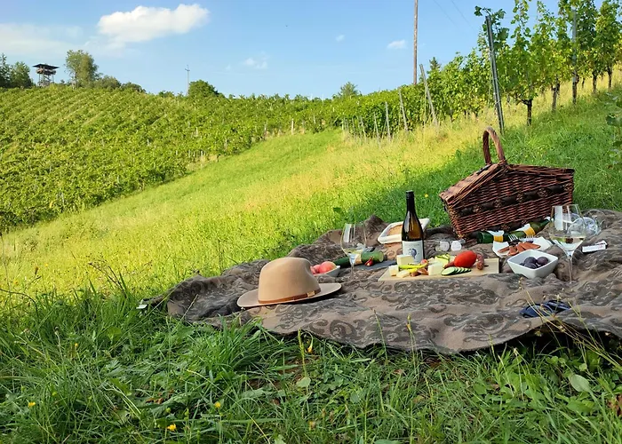Weingut Winzerzimmer Rothschaedl