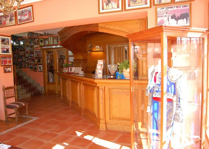 Hotel Flor De La Mancha