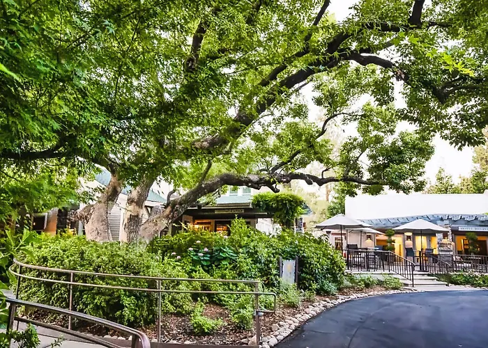 Appellation Lodi - Wine&Roses Resort&Spa
