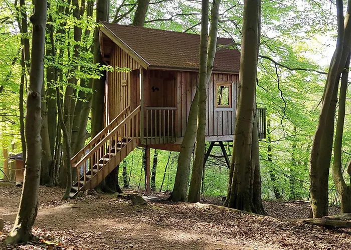 Baumhaushotel Solling