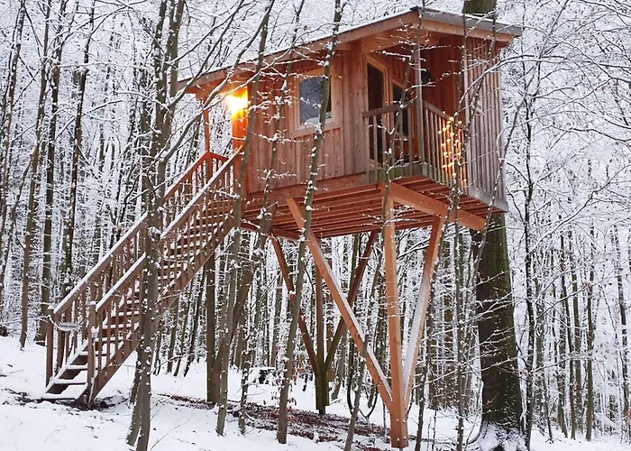 Baumhaushotel Solling