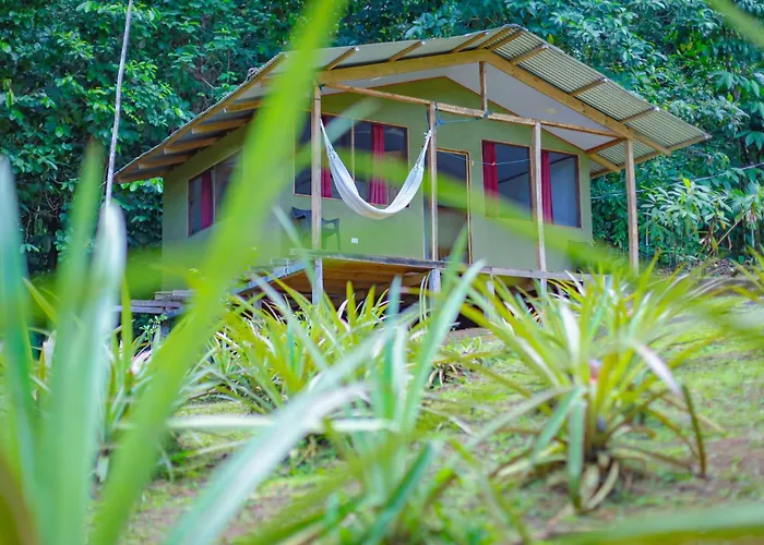 The Sunset Tucano Lodge
