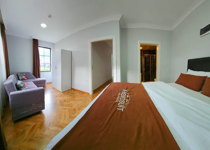 Anemo Suite