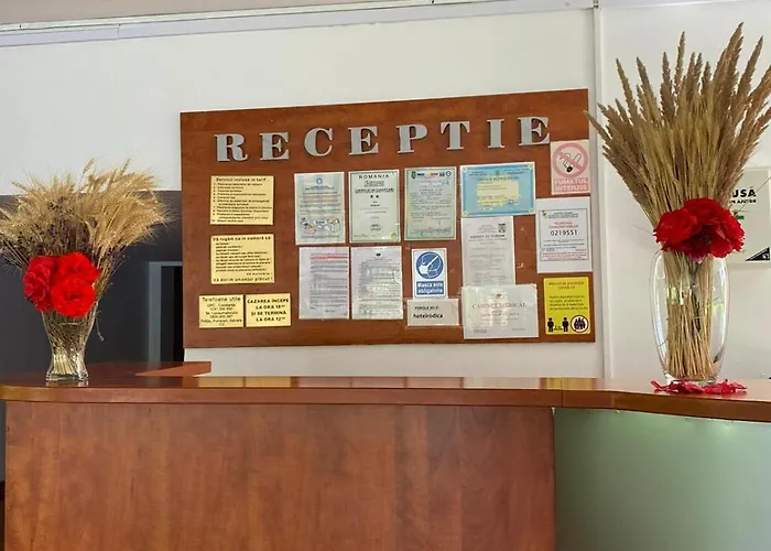 Hotel Rodica