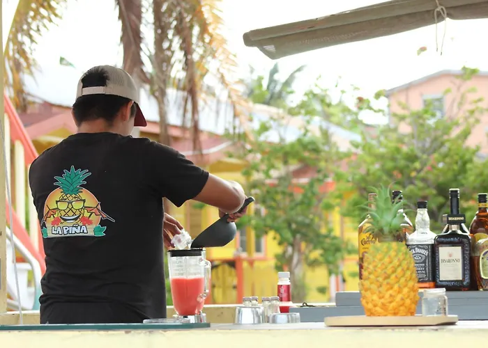 Tropical Paradise Express