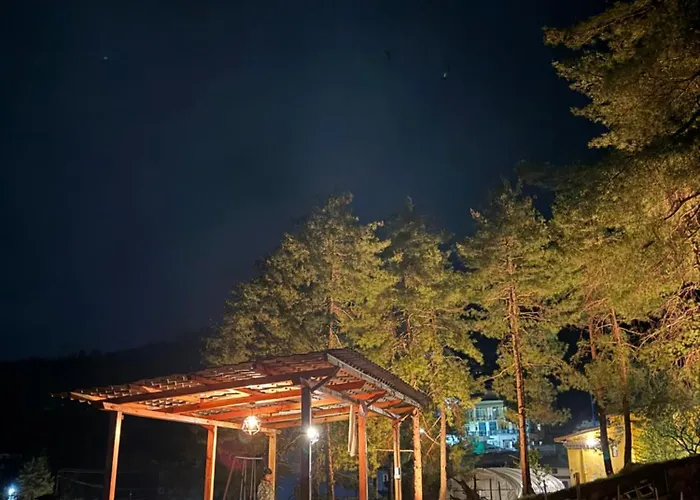 Dzi Pema