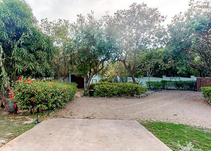 Garden @ Casa Nettuno