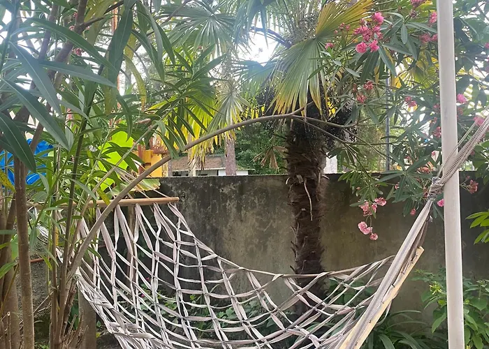 Guest House Bee