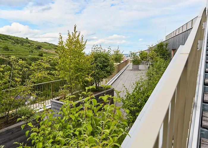 Steigenberger Hotel & Spa Krems
