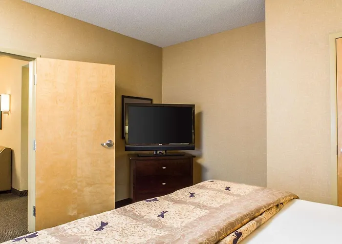 Cambria Hotel Raleigh-Durham Airport