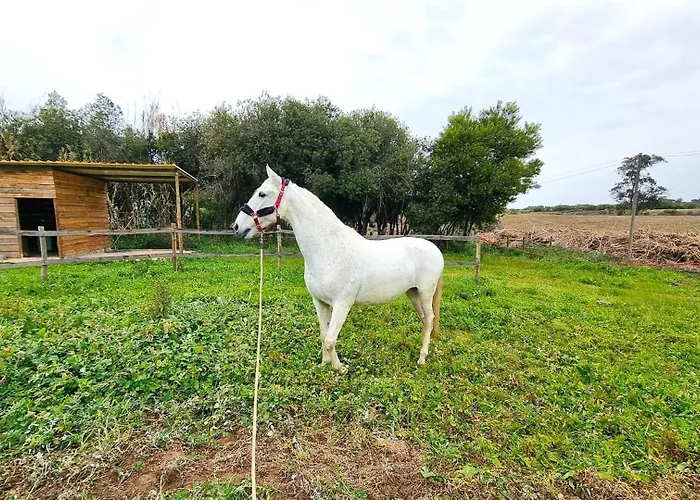 Herdade Moita Mar - Country & Sea