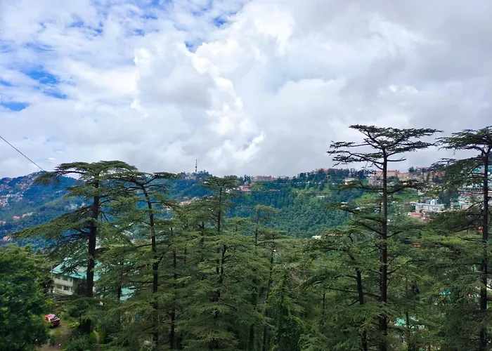 Mountain Zest - Shimla Royale - Free Pickup From Railway Station Shimla