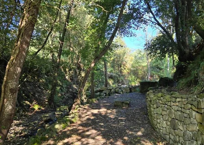 Tenuta D'Arienzo