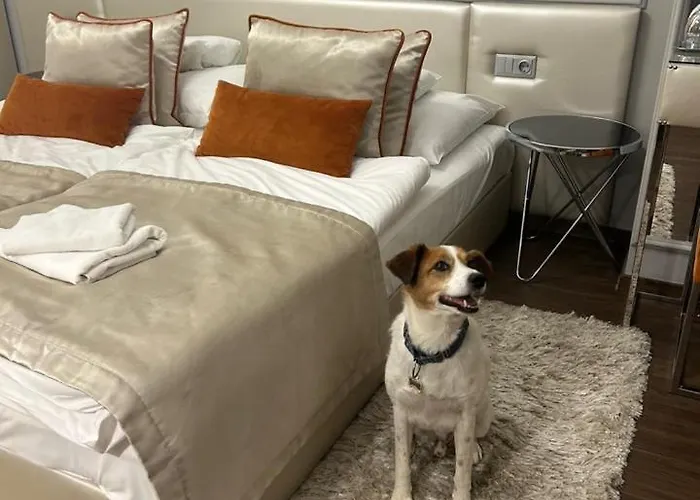 Boutique Hotel Center