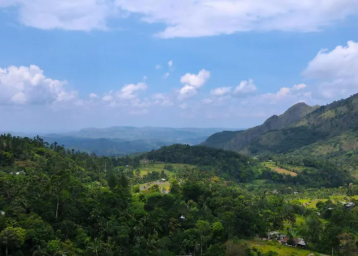 Forest Heaven Eco Resort