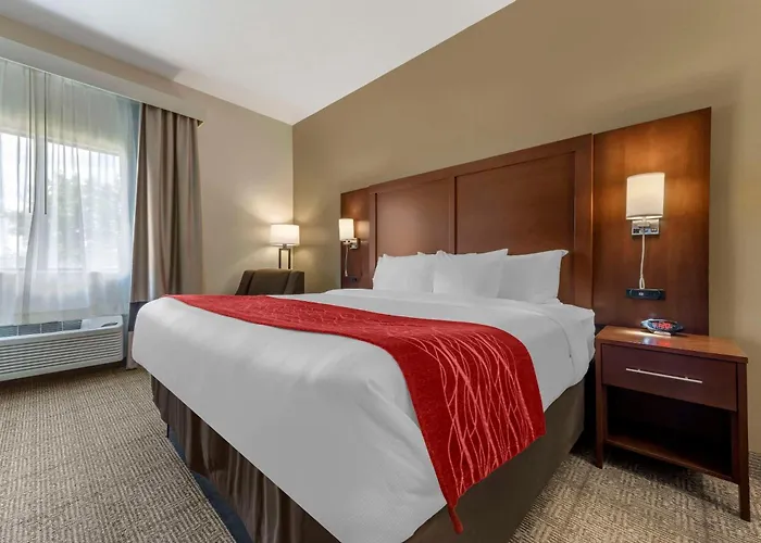 Comfort Inn & Suites Streetsboro - Kent
