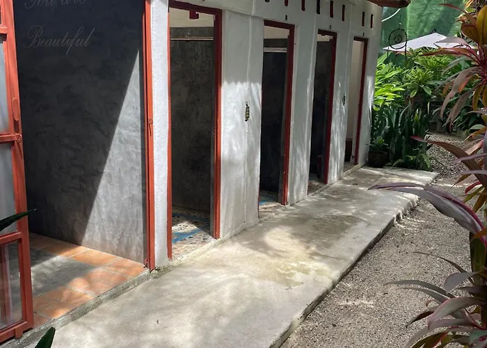 Akoma Sayulita
