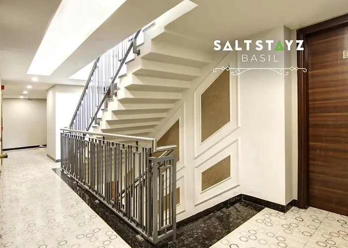 Saltstayz Basil - Near Golf Course Road & Extension Road